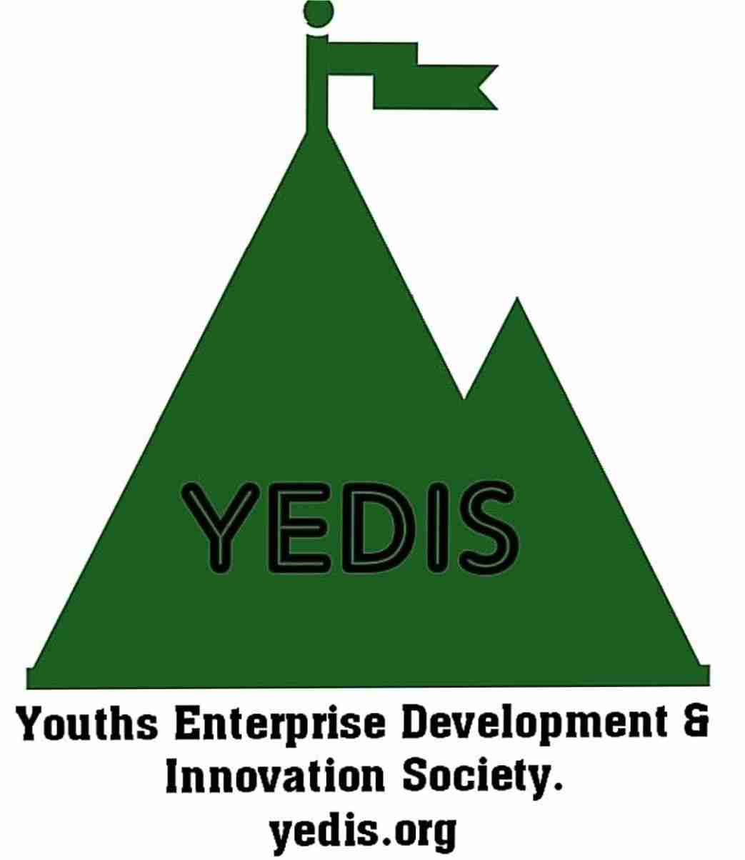 Youths Enterprise Development & Innovation Society