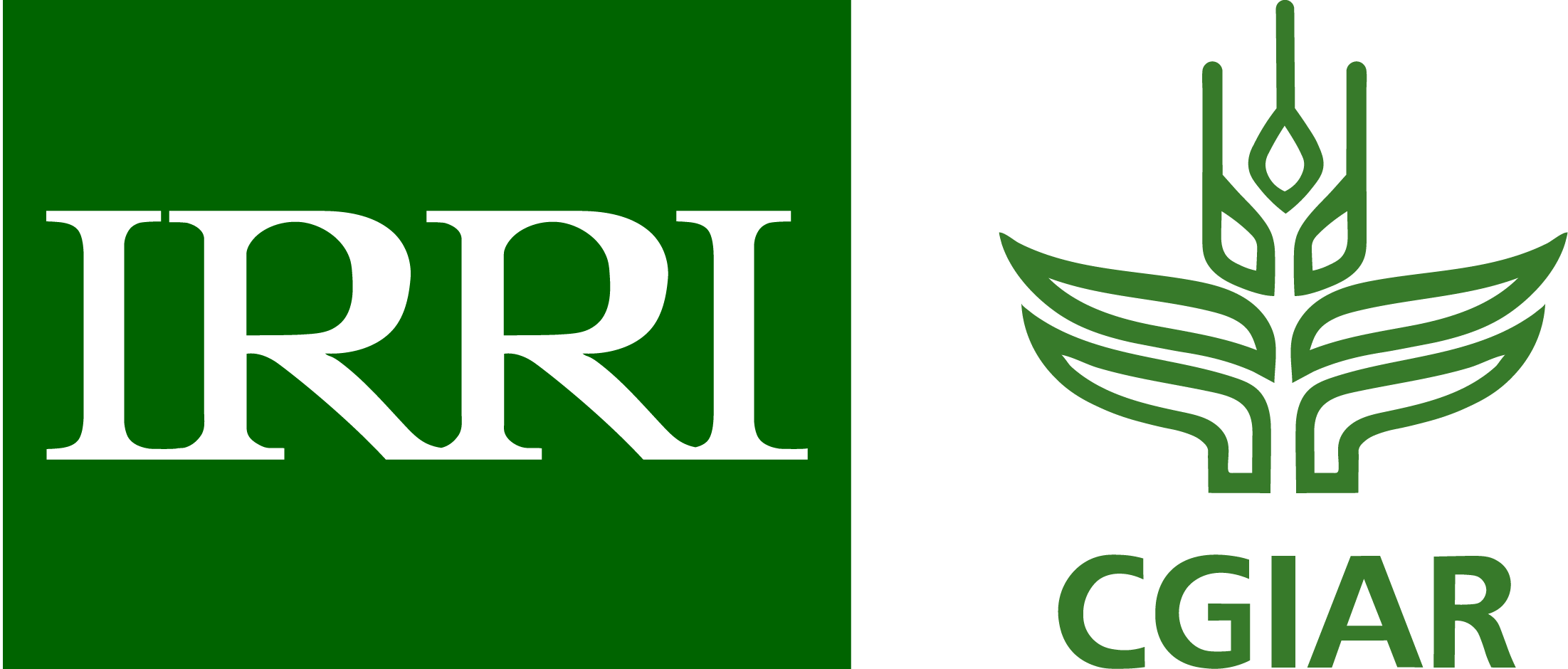 International Rice Research Institute (IRRI)