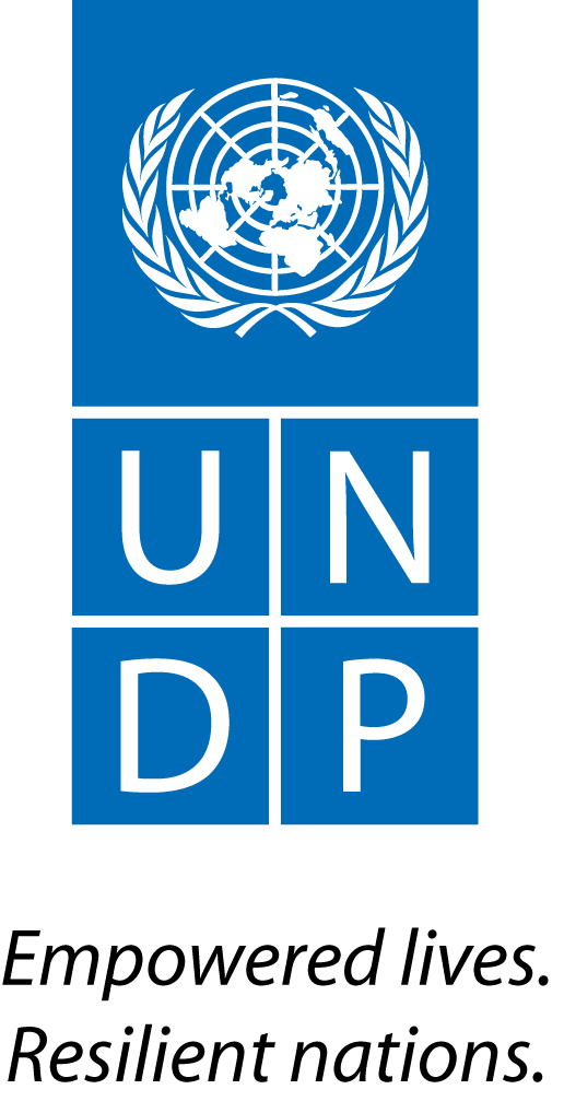 United Nations Development Programme (UNDP) China