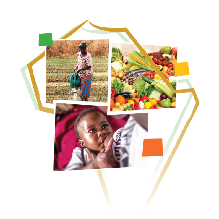 Regional Centre of Excellence against Hunger and Malnutrition (CERFAM)