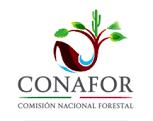 National Forestry Commission of Mexico (CONAFOR)