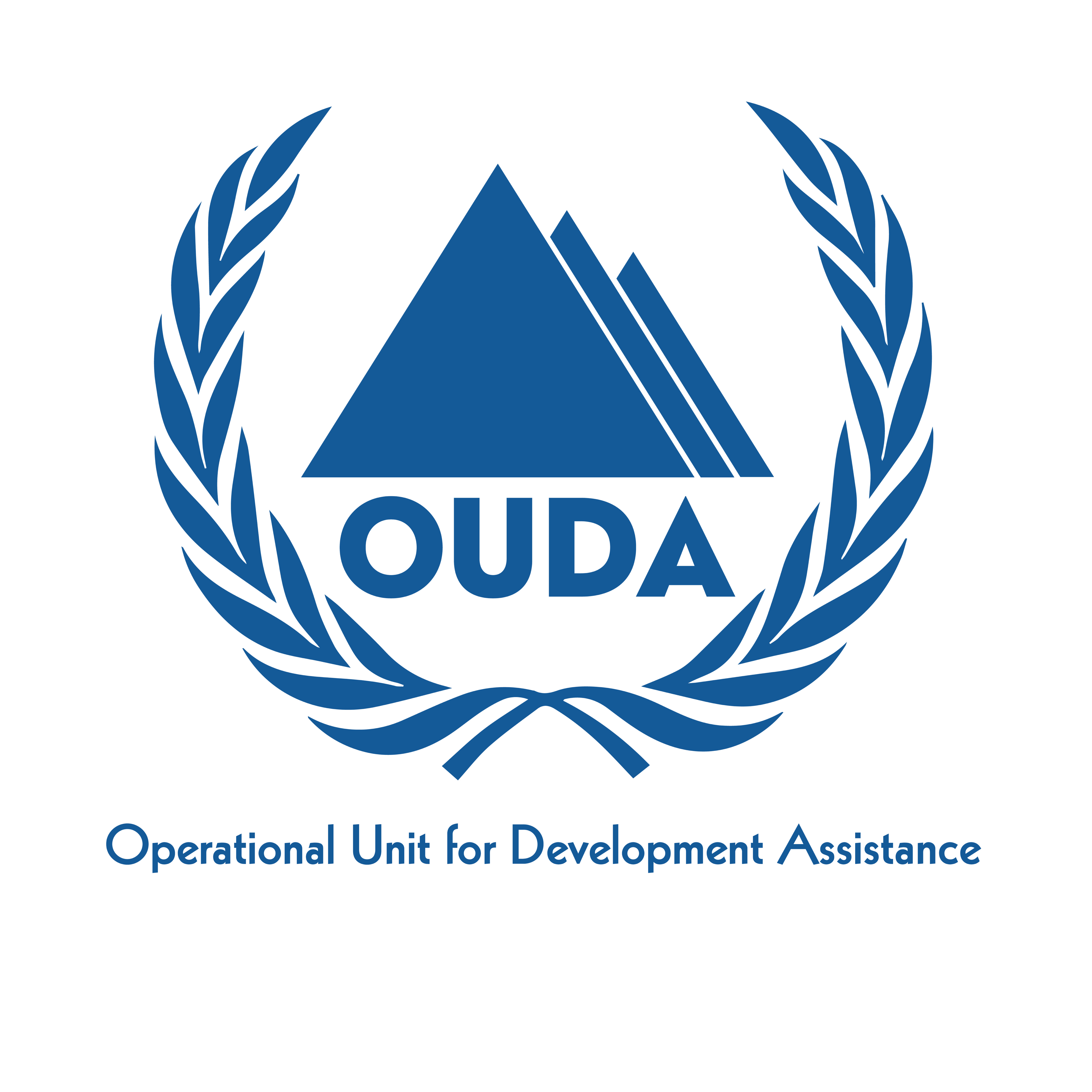 Operational Unit for Development Assistance (OUDA)