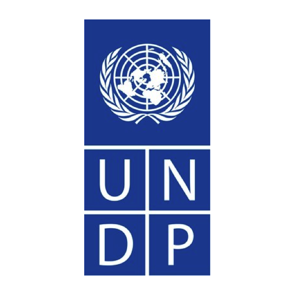 United Nations Development Programme (UNDP) Suriname
