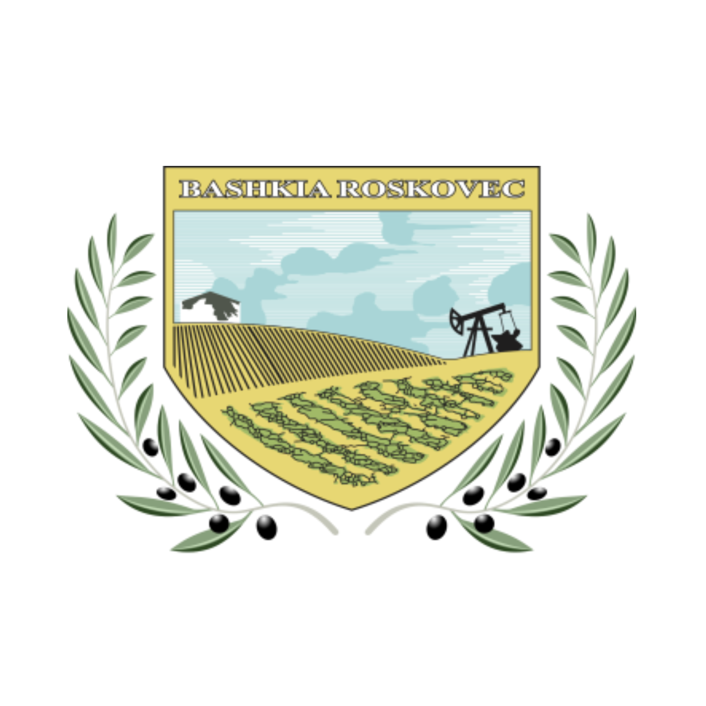 Municipal Government of Roskovec, Albania