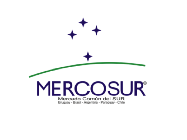 MERCOSUR Presidents Agree on Measures to Combat COVID-19
