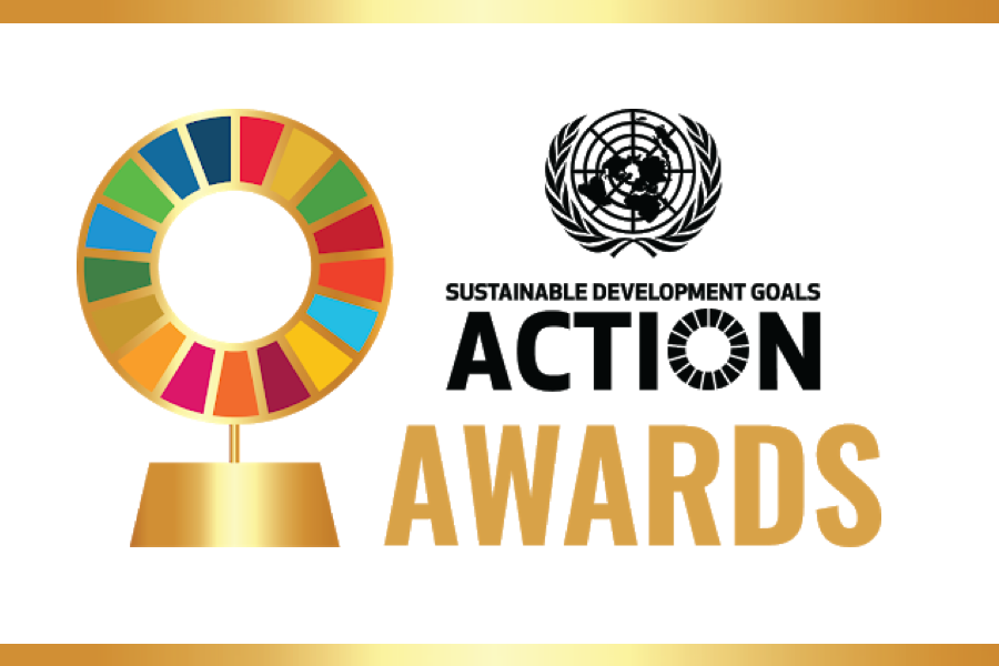 SDG Action Awards - Deadline 19 July 2020 - South-South Galaxy