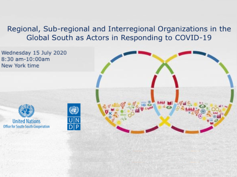 Webinar: Regional, Sub-regional and Interregional Organizations in the Global South as Actors in Responding to COVID-19