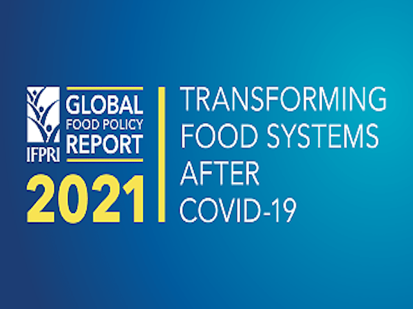 Launch Event – 2021 Global Food Policy Report: Transforming Food Systems After COVID-19,  13 April 2021