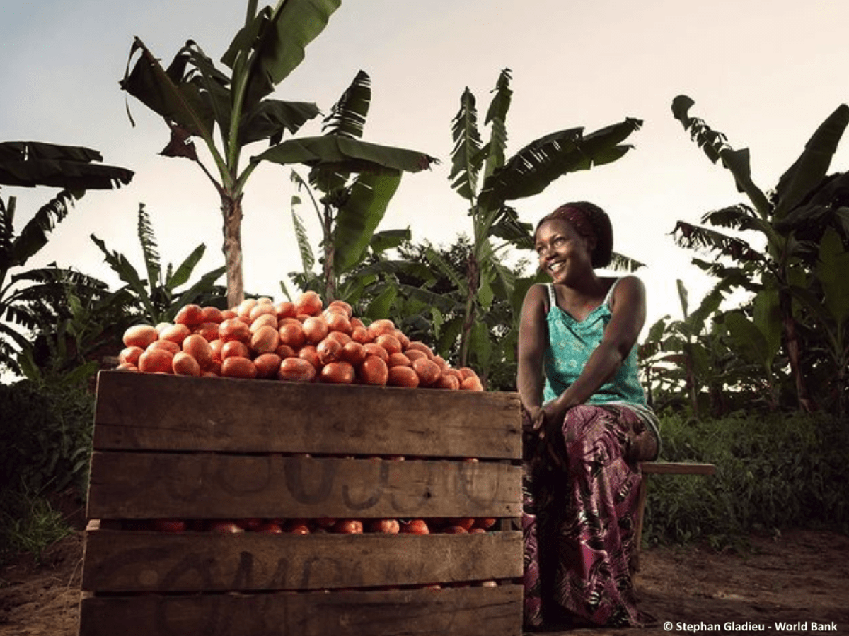 More than 100 Countries Sign up to Develop National Strategies for Transforming Food Systems