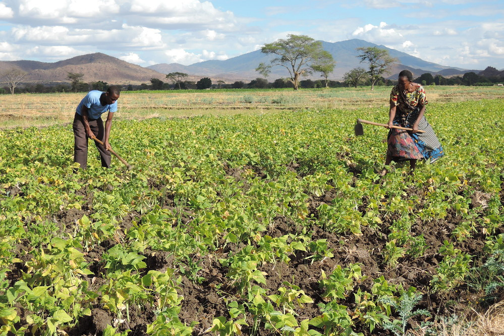 International Fund for Agricultural Development (IFAD) - South-South Galaxy