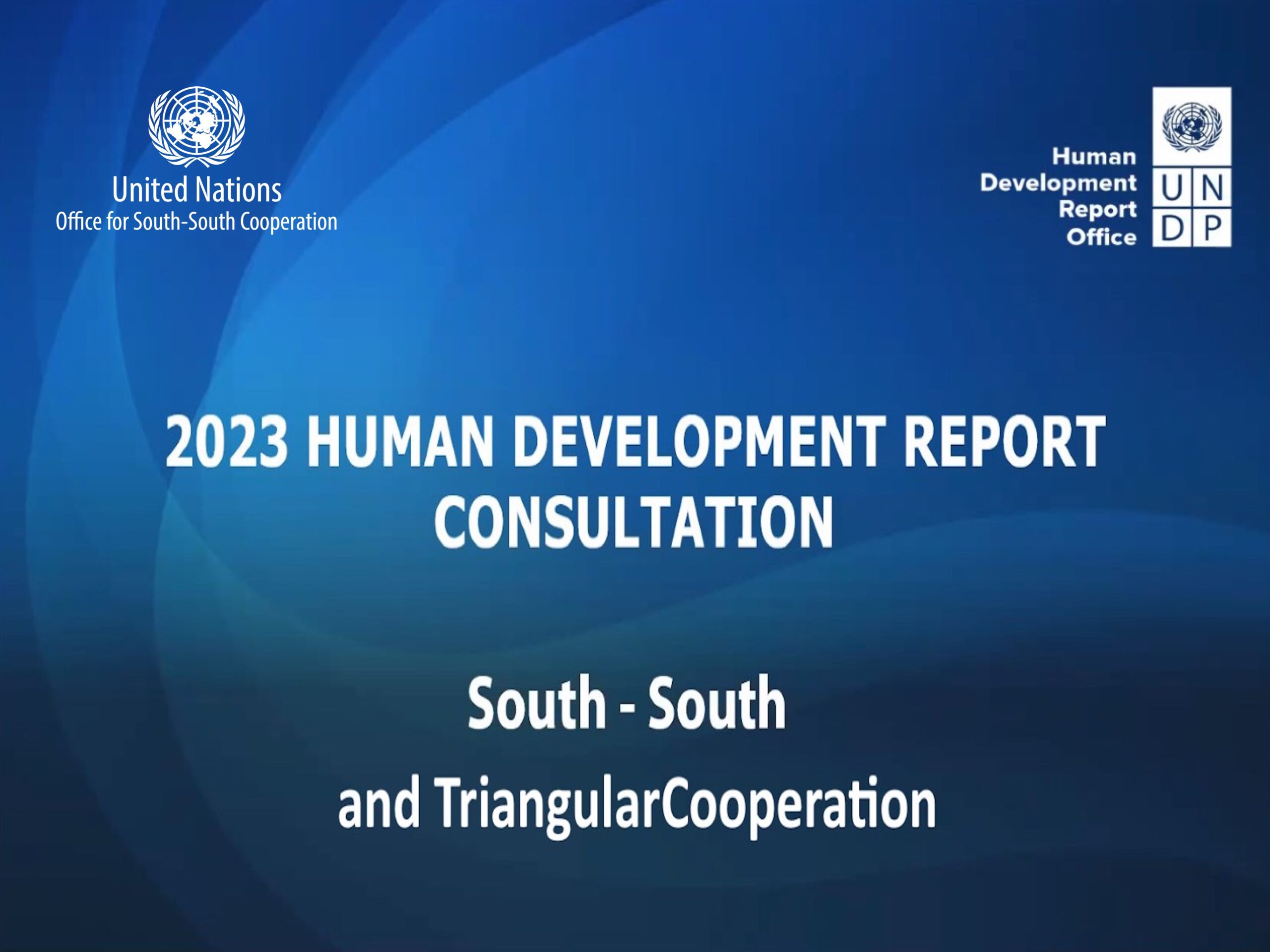 South-South Global Thinkers Facilitates 2023 Human Development Report Thematic Consultation on South-South Cooperation