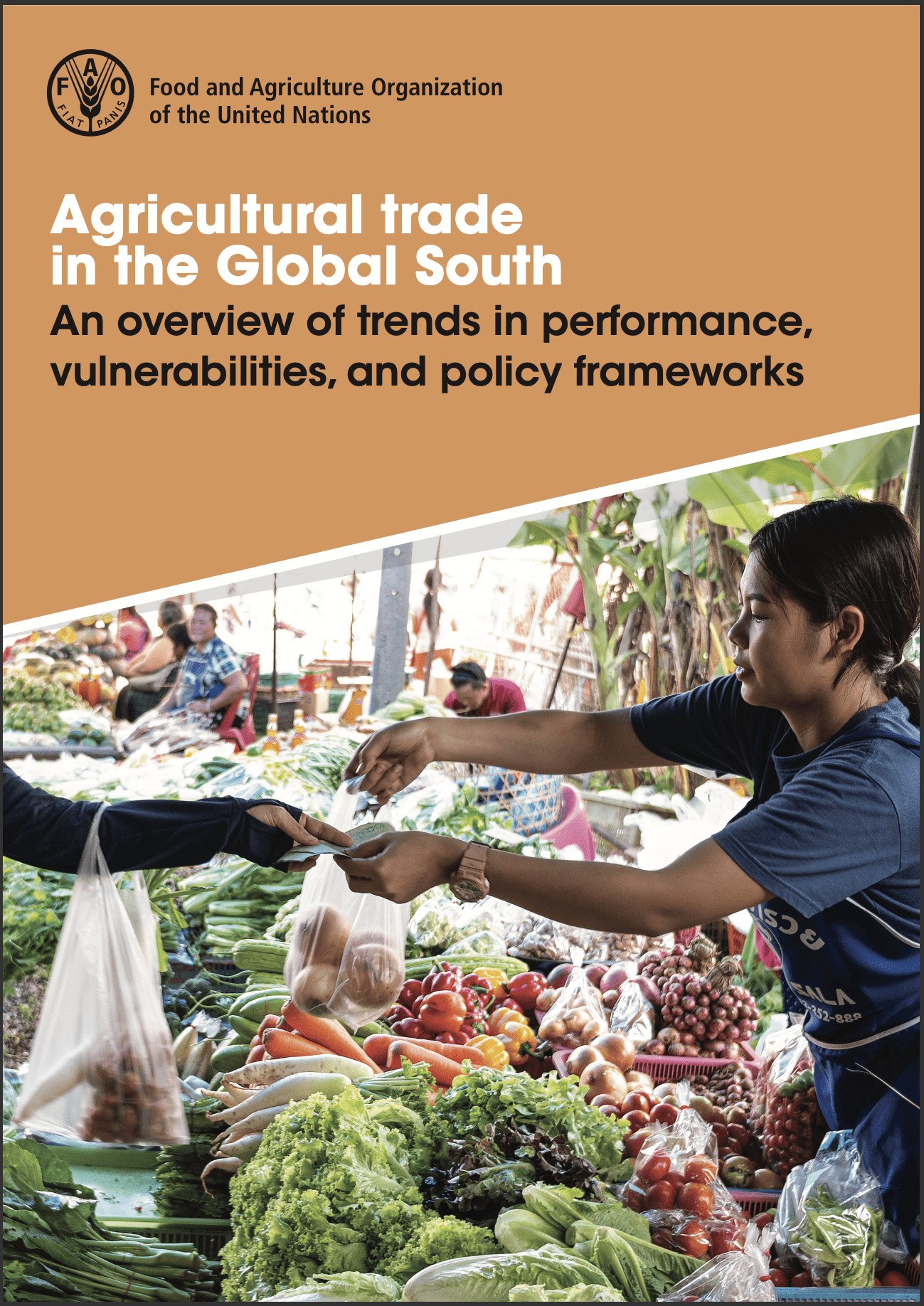 Agricultural Trade in the Global South:  An Overview of Trends in Performance, Vulnerabilities, & Policy Frameworks (FAO, 2023)