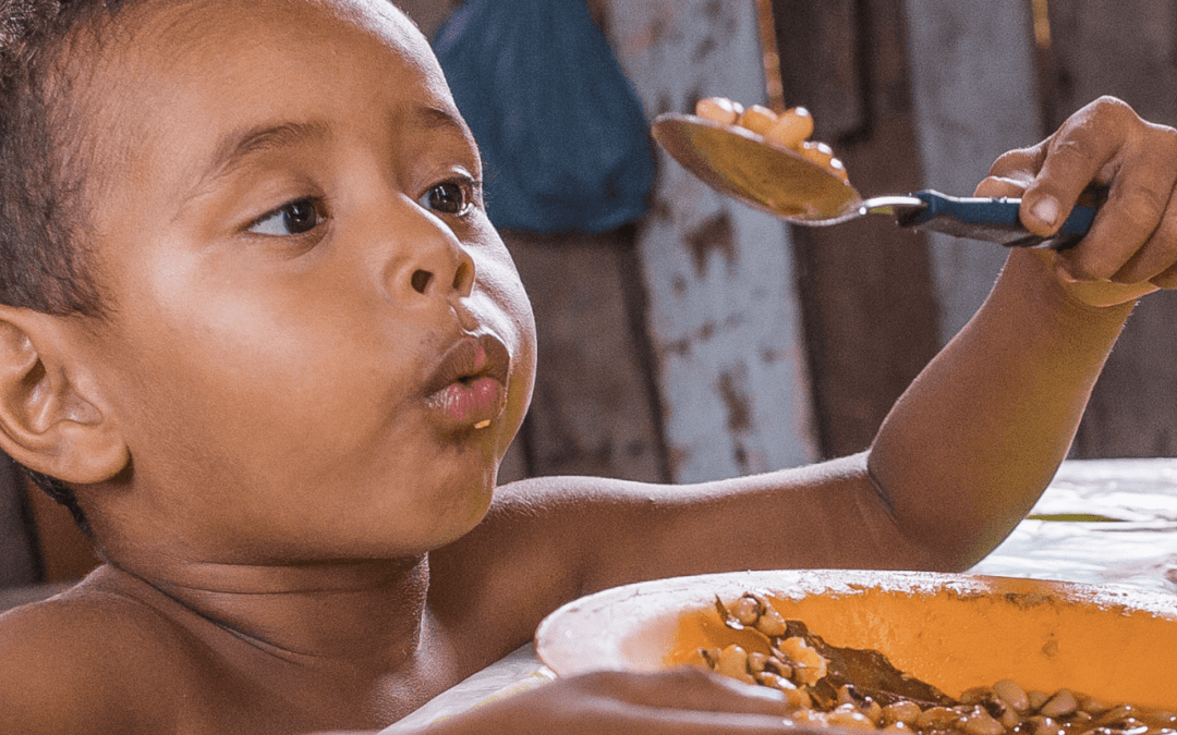 Policy Brief: Adequacy of Brazilian Social Protection Programmes to the Needs of Children and Adolescents – UNICEF Social Protection Series