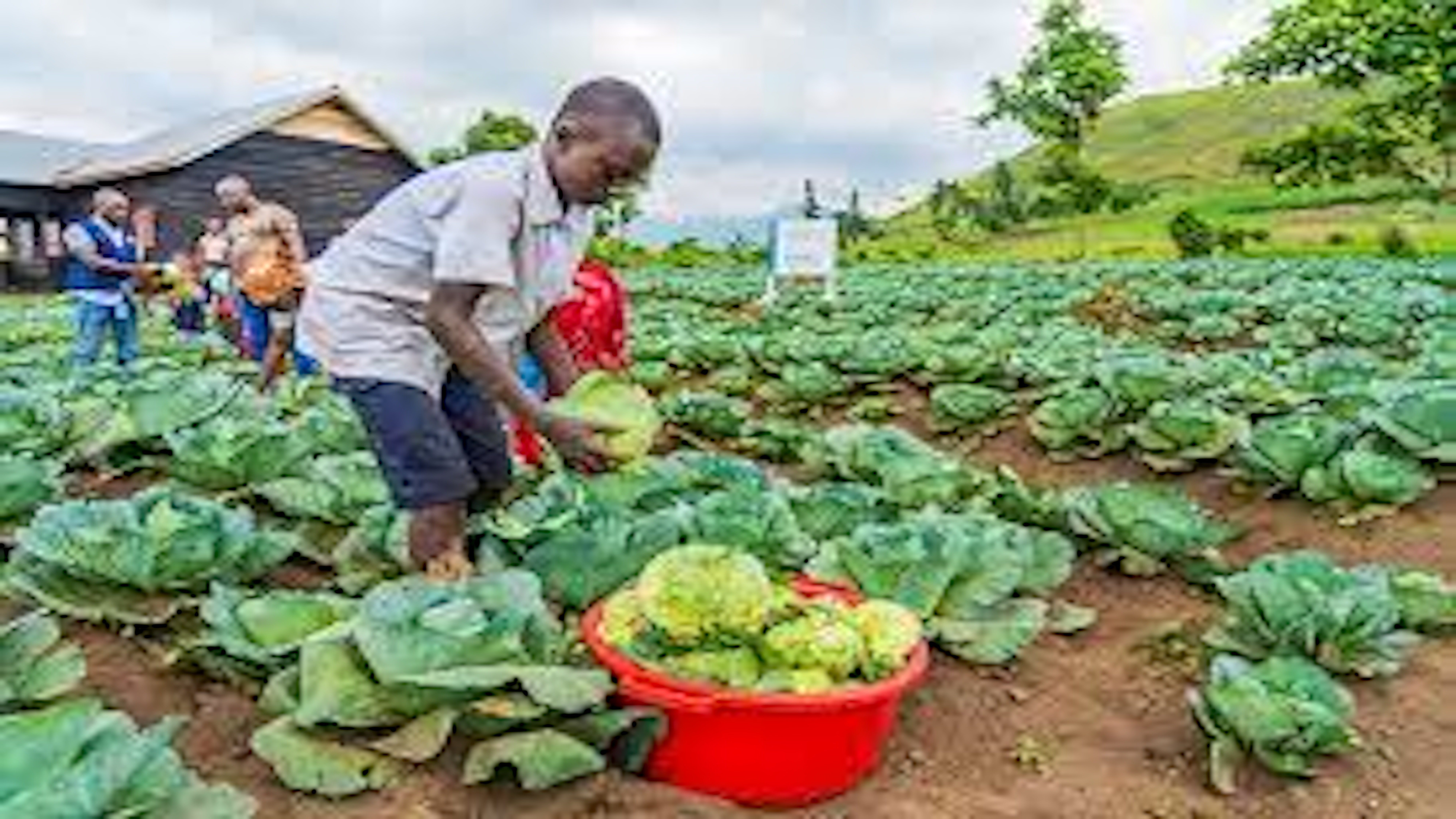 The IBSA Fund – A Partnership for Sustainable Development, 17 July 2025