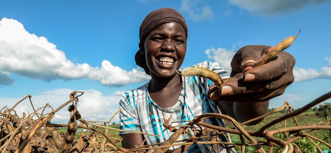 International Day of Science, Technology and Innovation for the South,16 September 2025